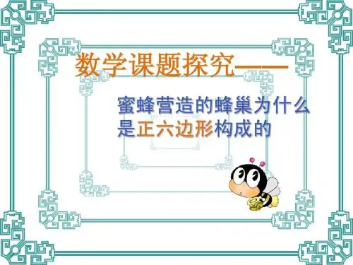 数学课题报告---蜜蜂