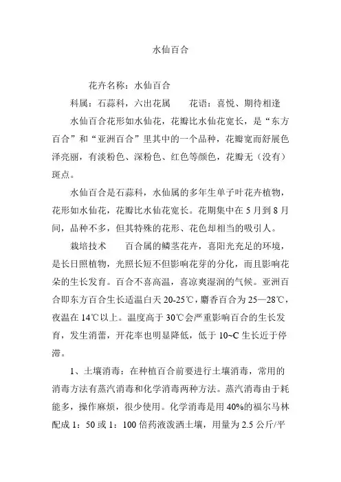 水仙百合