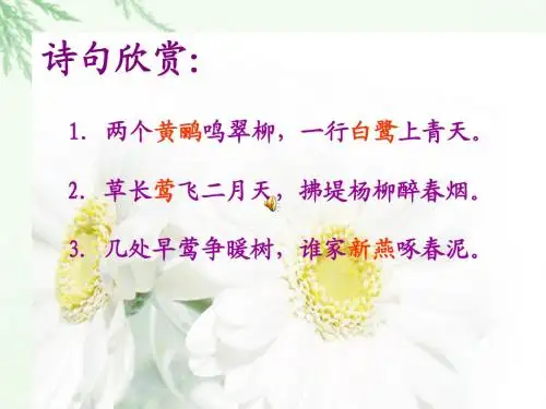 《珍珠鸟》ppt课件