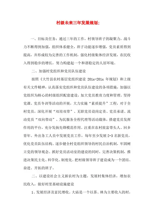 村级未来三年发展规划