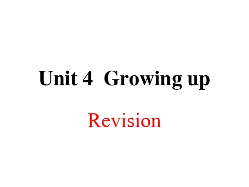 牛津译林版英语九年级上册期末复习课件Unit4 Revision