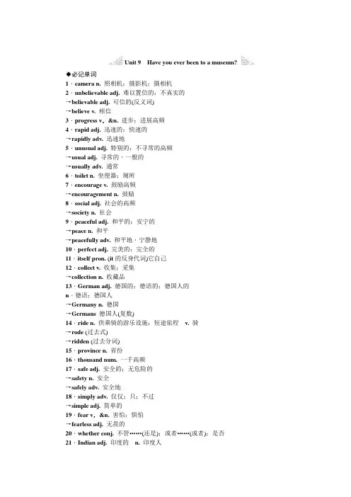 Unit 9 Have you ever been to a museum知识点总结