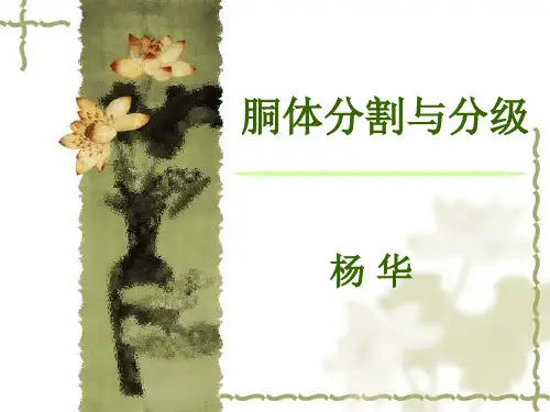 肉的分割与分级