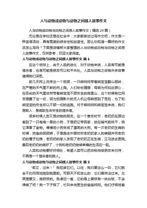 人与动物或动物与动物之间感人故事作文
