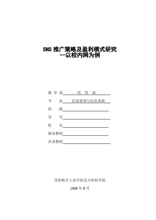 SNS推广策略及盈利模式研究 毕业设计论文——4