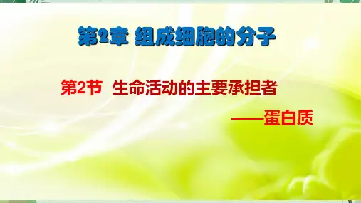 生命活动的主要承担者——蛋白质(28张PPT)(完美版课件)
