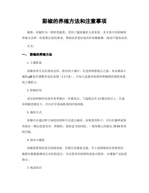 彩椒的养殖方法和注意事项