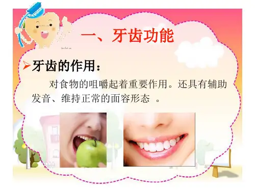 儿童口腔保健讲座