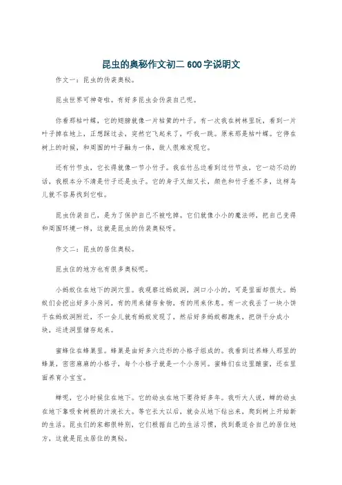 昆虫的奥秘作文初二600字说明文
