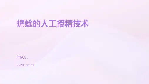蟾蜍的人工授精技术