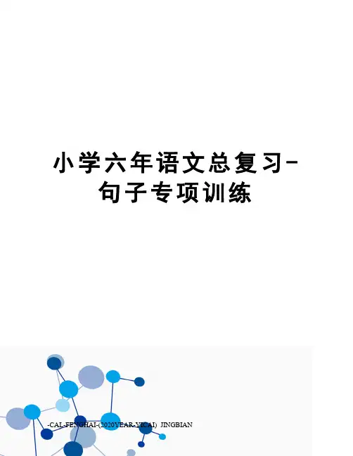 小学六年语文总复习-句子专项训练