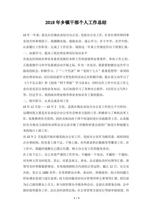 乡镇干部个人工作总结