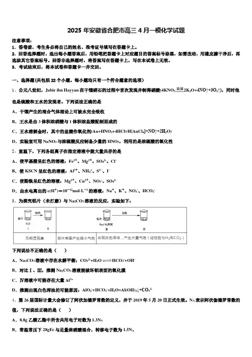 2025年安徽省合肥市高三4月一模化学试题含解析