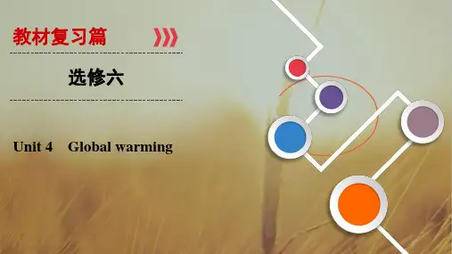 2019大一轮高考总复习英语课件：选修6 Unit 4 Global warming 精品