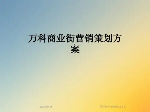 万科商业街营销策划方案