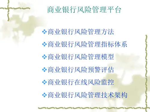 金融风险解决方案培训讲义