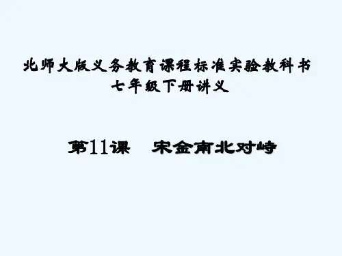 北师大版宋金南北对峙 PPT课件