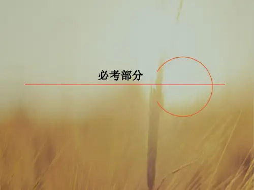 2019版高中物理一轮复习课件：第一章 运动的描述 匀变速直线运动的研究 1-2 精品