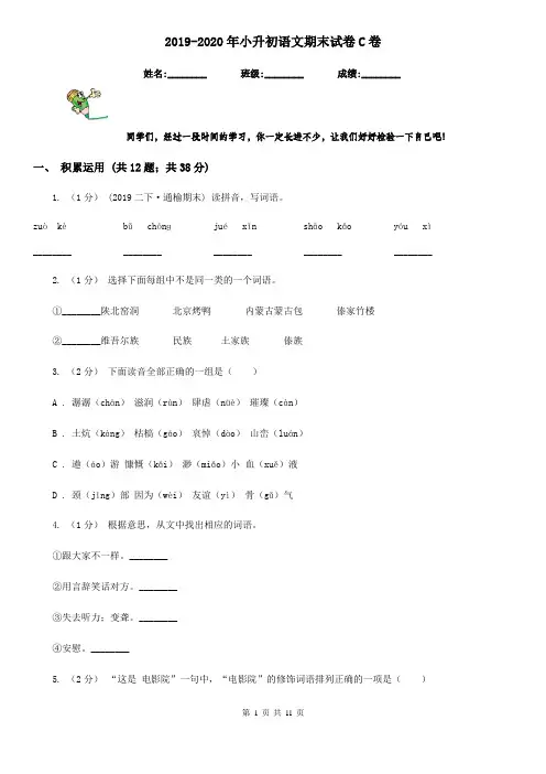 2019-2020年小升初语文期末试卷C卷