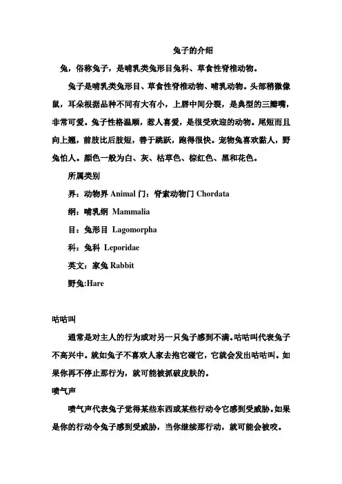 兔子的介绍