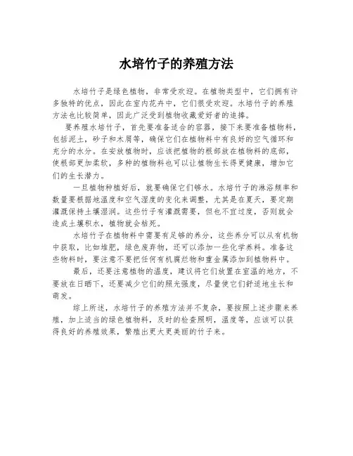 水培竹子的养殖方法