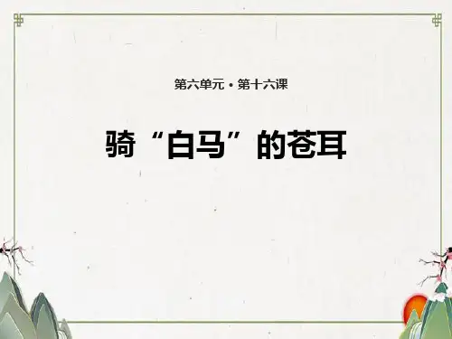《骑“白马”的苍耳》PPT