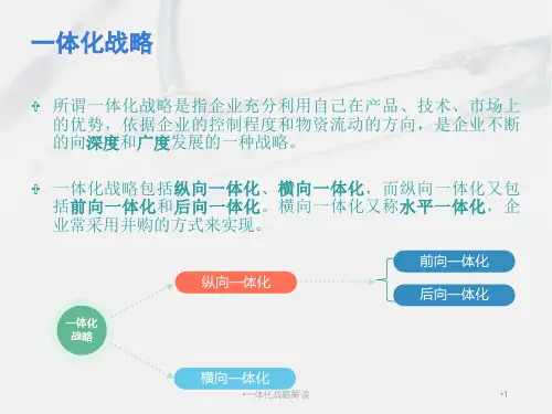 一体化战略解读课件