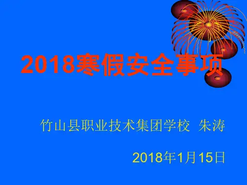 2018年寒假安全教育PPT