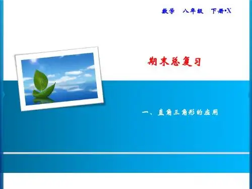 湘教版八年级下册数学习题课件：期末总复习 一、直角三角形的应用