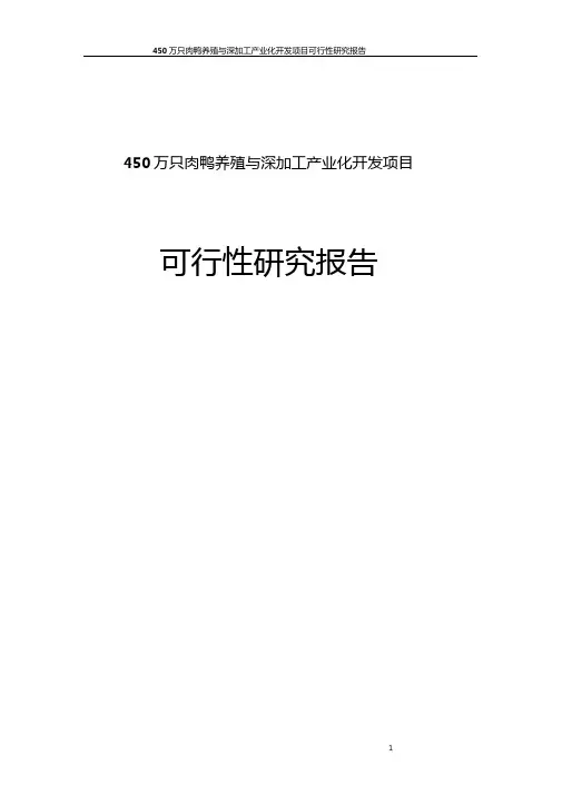 450万只肉鸭养殖与深加工产业化开发项目可行性研究报告