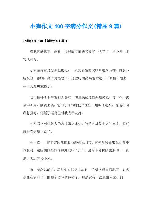 小狗作文400字满分作文(精品9篇)