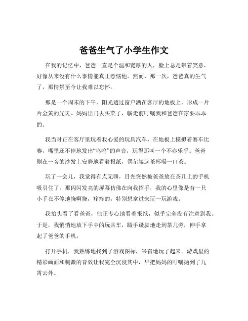 爸爸生气了小学生作文