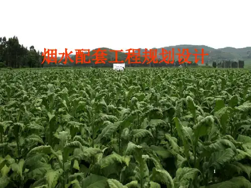 烟水配套工程规划设计讲义PPT课件