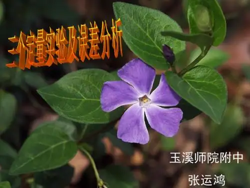 【化学课件】定量实验的误差分析