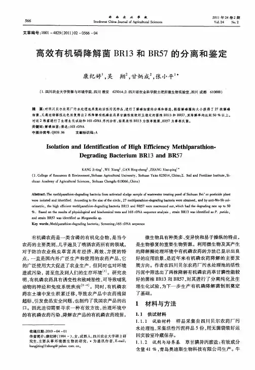 高效有机磷降解菌BR13和BR57的分离和鉴定