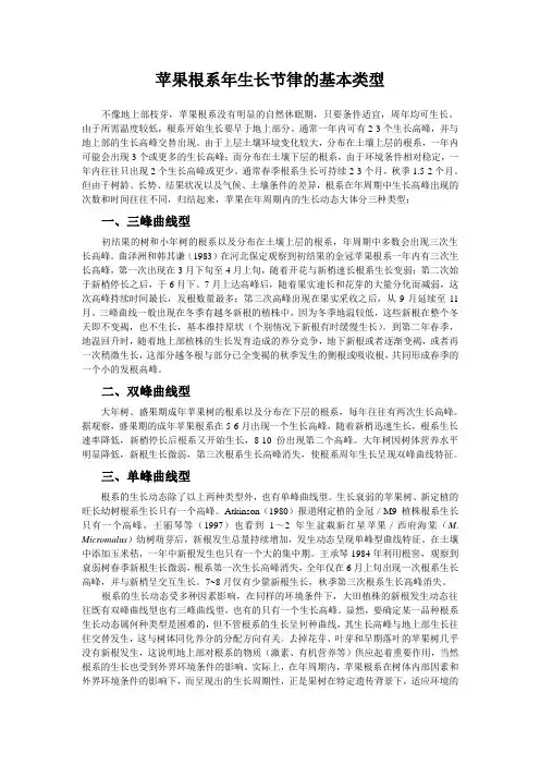 苹果根系年生长节律的基本类型