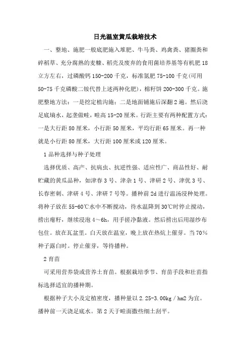 日光温室黄瓜栽培技术