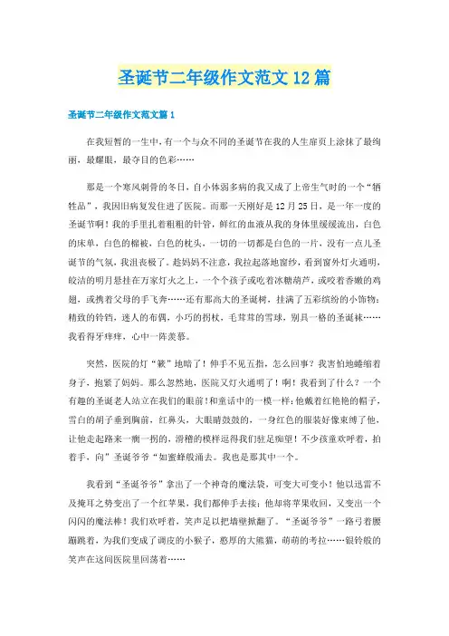 圣诞节二年级作文范文12篇