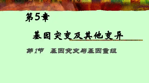 人教版必修2生物：5.1 基因突变和基因重组 课件(共48张PPT)