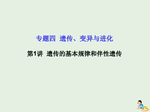 2020版高考生物二轮复习专题四遗传、变异与进化1遗传的基本规律和伴性遗传课件