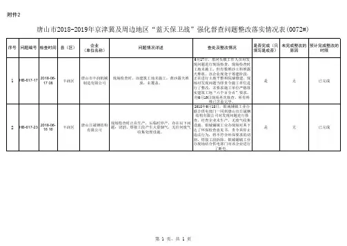 整改落实情况表