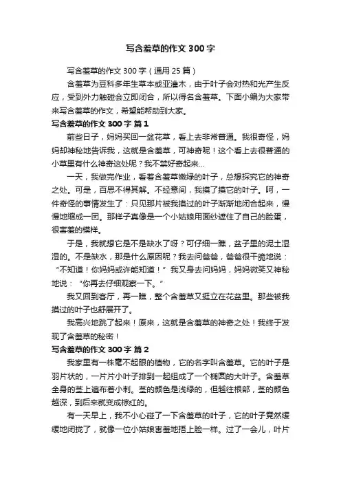写含羞草的作文300字（通用25篇）