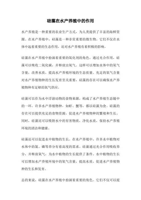 硅藻在水产养殖中的作用