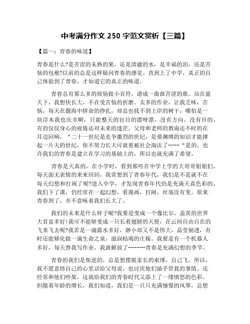 中考满分作文250字范文赏析【三篇】