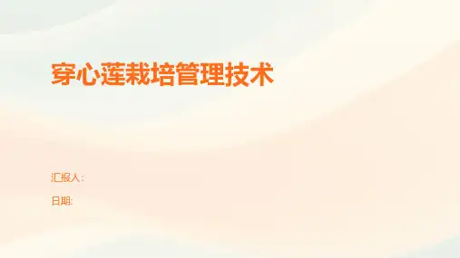穿心莲栽培管理技术