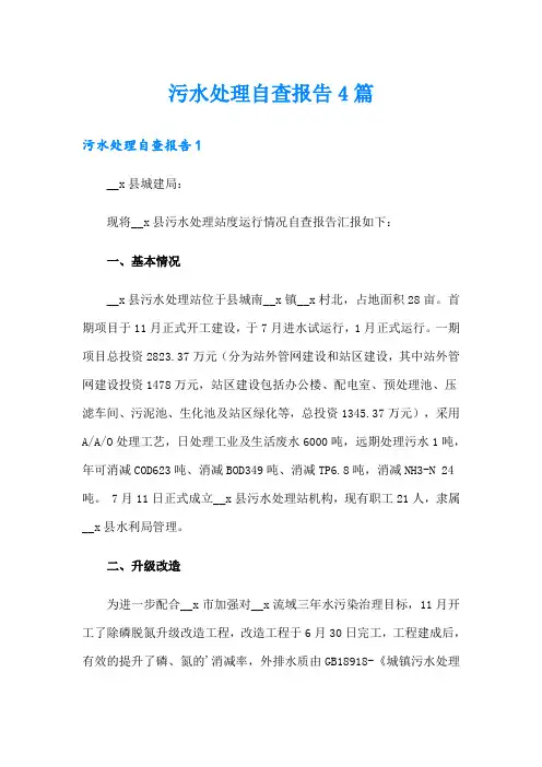 污水处理自查报告4篇