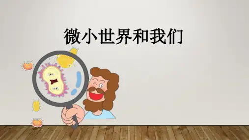教科版小学科学 微小世界和我们名师教学PPT课件(2)