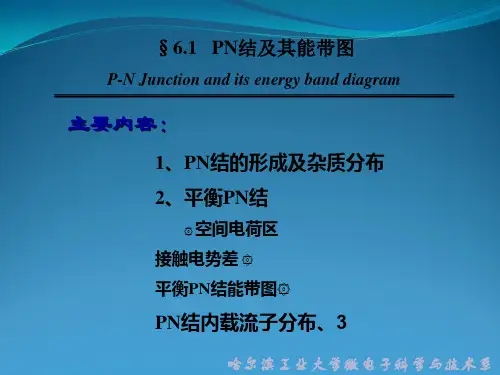 半导体物理 第六章  PN结