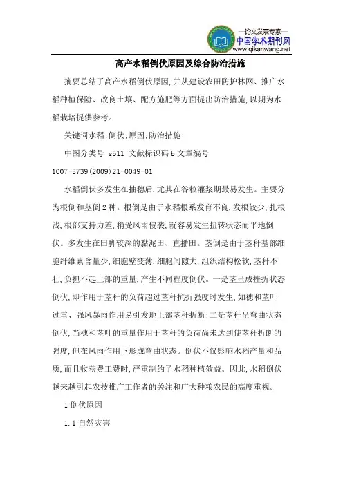高产水稻倒伏原因及综合防治措施