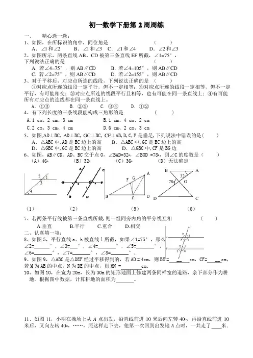 七年级数学下册第2周周练试卷